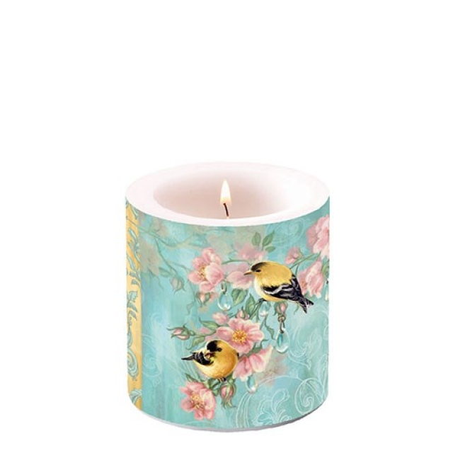 Ambiente 8 x 7 cm Kerze Scarlett Petrol