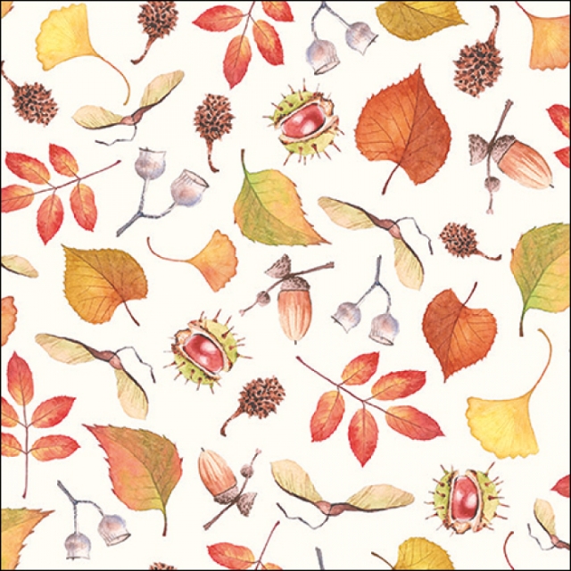 Ambiente Placemat 30 x 40 cm Autumn Details