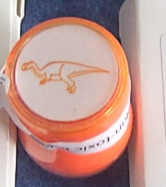 Doppelseitiger Stempel Iguanadon