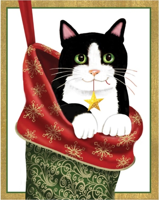 Caspari Mini Weihnachtskarten Cat in Stocking Set mit 5 Karten und 5 Umschlägen