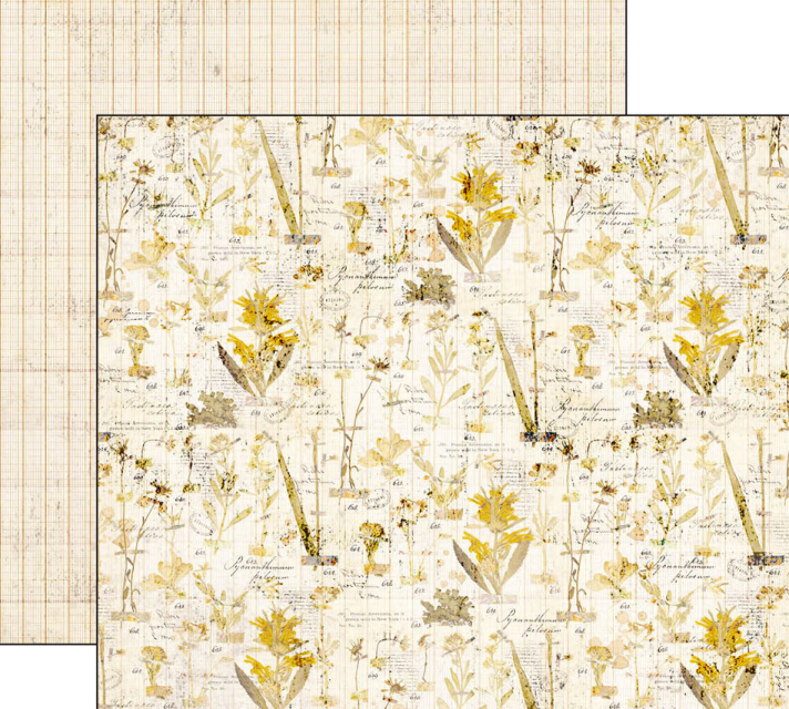 Ciao Bella 8 x 8 Inch Paper Pad Wizard Academy