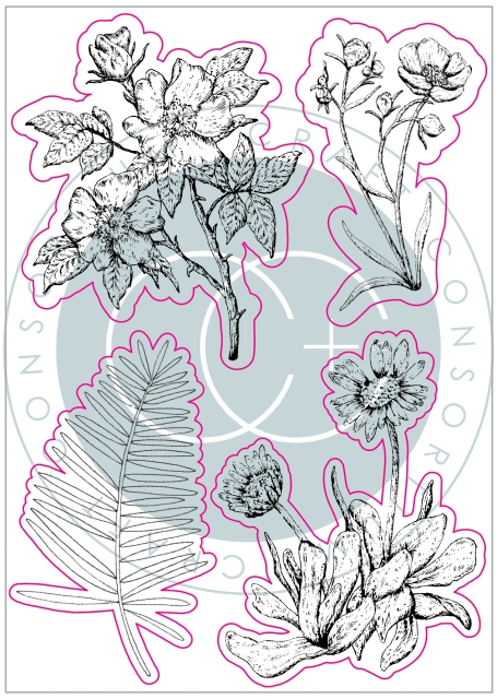Craft Consortium Clear Stamp At Home in the Wildflowers Flora