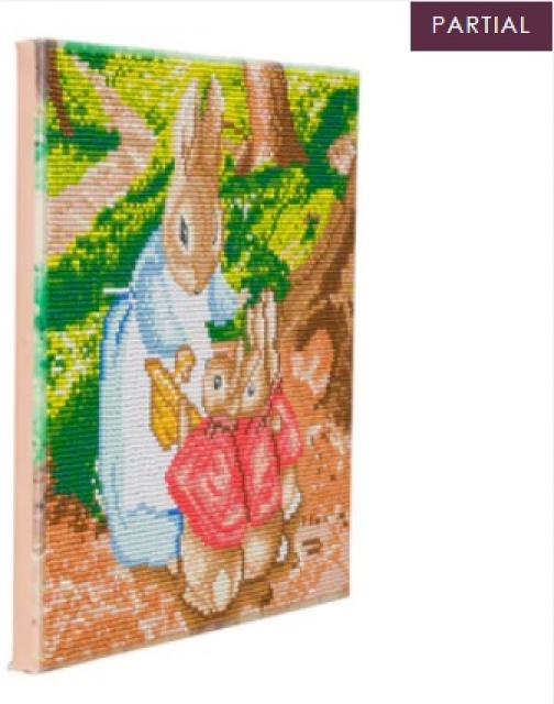 Craft Buddy CAK-PBRT32M Framed Crystal Art Holzrahmen Mrs Josephine Rabbit and The Flopsy Bunnies
