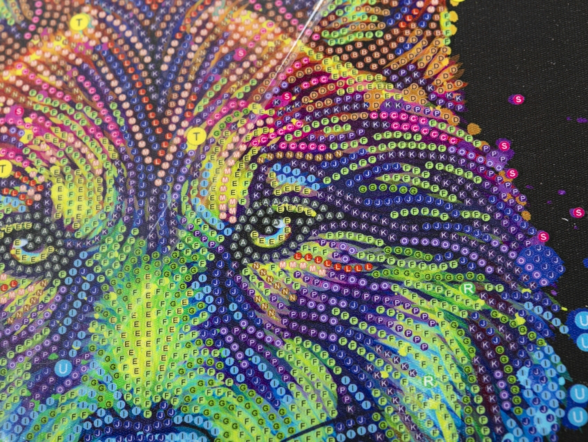 Craft Buddy CAK-A187M Framed Crystal Art Holzrahmen Colourful Wolfe
