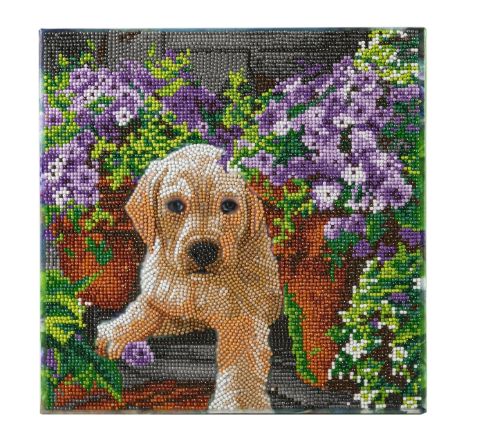 Craft Buddy CAK-A182M Framed Crystal Art Holzrahmen Floral Pup