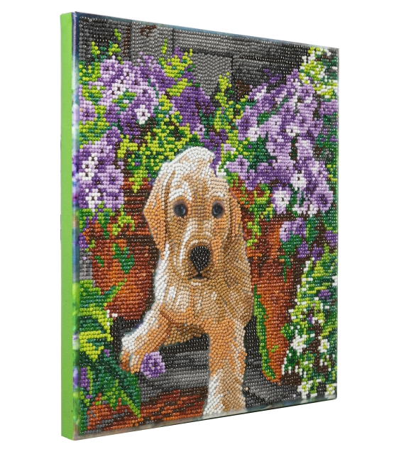 Craft Buddy CAK-A182M Framed Crystal Art Holzrahmen Floral Pup