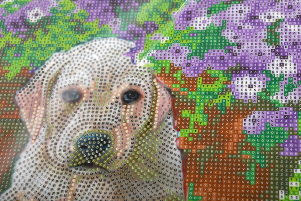 Craft Buddy CAK-A182M Framed Crystal Art Holzrahmen Floral Pup