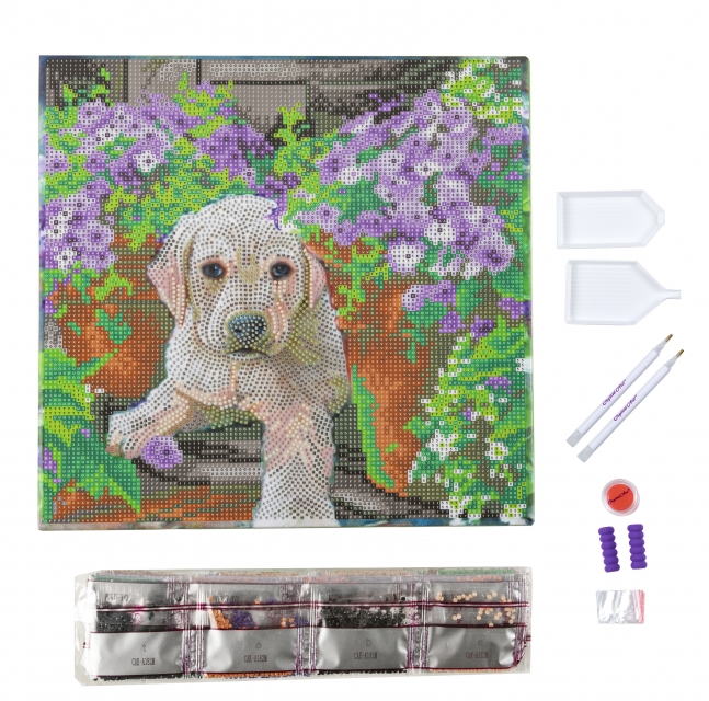 Craft Buddy CAK-A182M Framed Crystal Art Holzrahmen Floral Pup