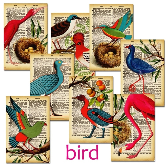 Decorer Bird Paper Pack