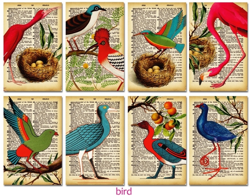 Decorer Bird Paper Pack