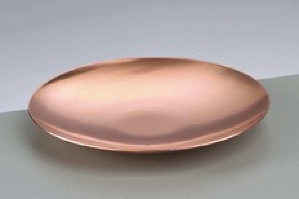 Schale rund, flach 95 mm, mit gewölbtem Rand