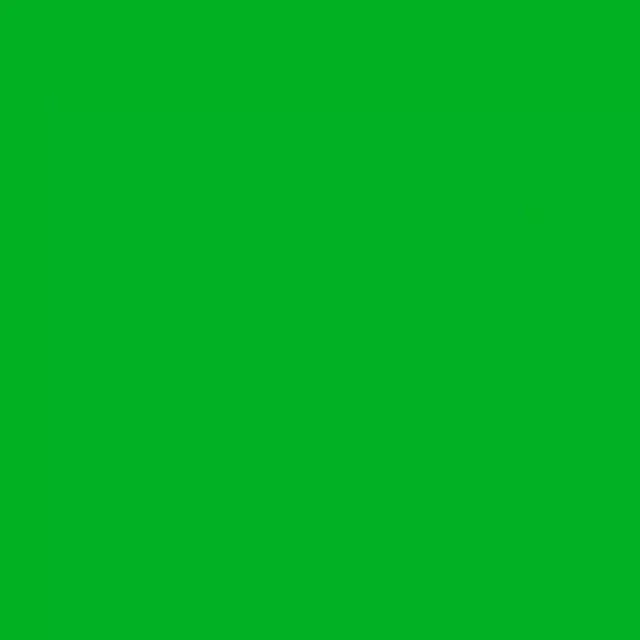Efco Color Essenz grün 25 ml
