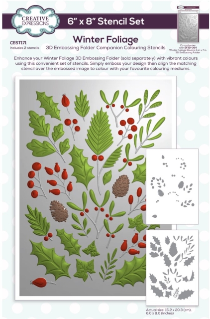 Creative Expressions Colouring Stencil Winter Foliage Companion