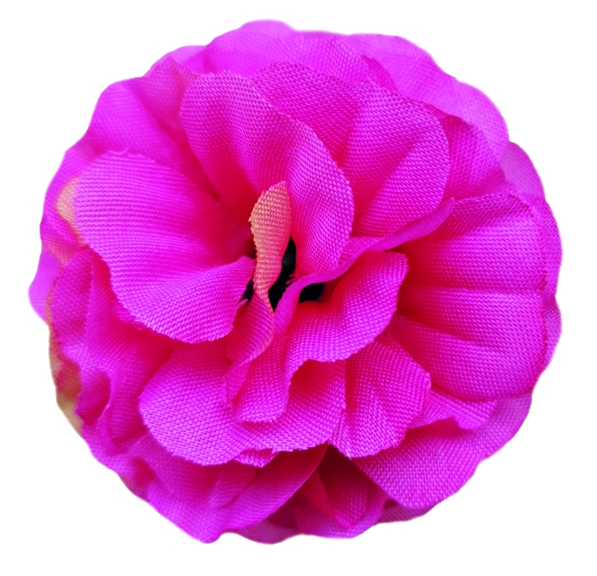 Flowerz Brilliant Begonias Fuchsia