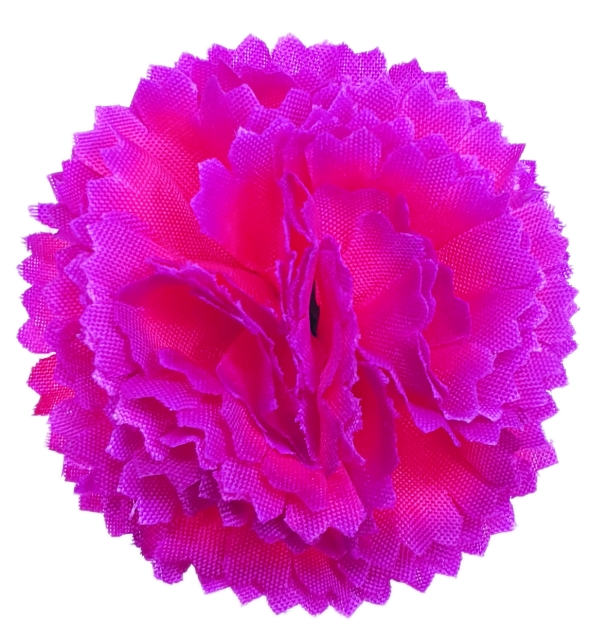 Flowerz Classic Carnations / Klassische Nelken Fuchsia