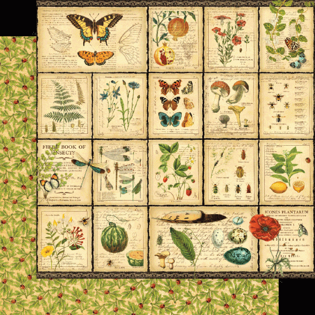 Graphic 45 Nature Notebook Deluxe Collector's Edition