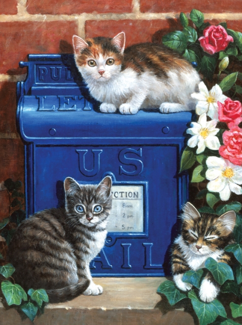 Painting by Numbers MAILBOX KITTENS