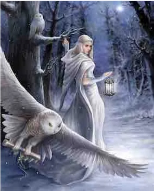 Craft Buddy PBN013 Painting by Numbers Framed Kit Malen nach Zahlen Midnight Messenger