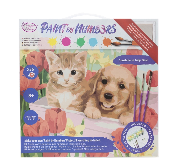 Craft Buddy PBN-3030-20 Painting by Numbers Framed Kit Malen nach Zahlen Sunshine in Tulip Field