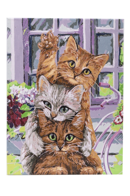 Craft Buddy PBN-3040-26 Painting by Numbers Framed Kit Malen nach Zahlen Hi Kittens