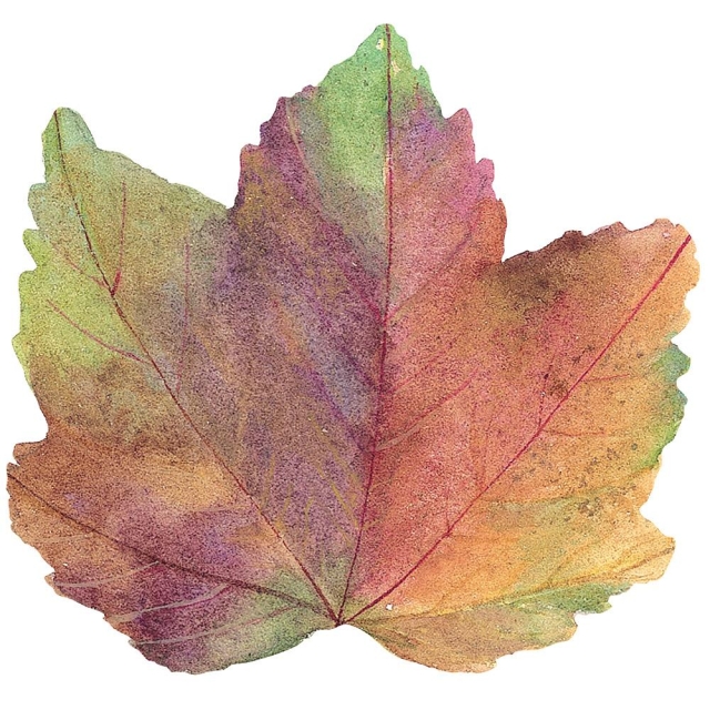Caspari Tischset Diecut Autumn Leaf