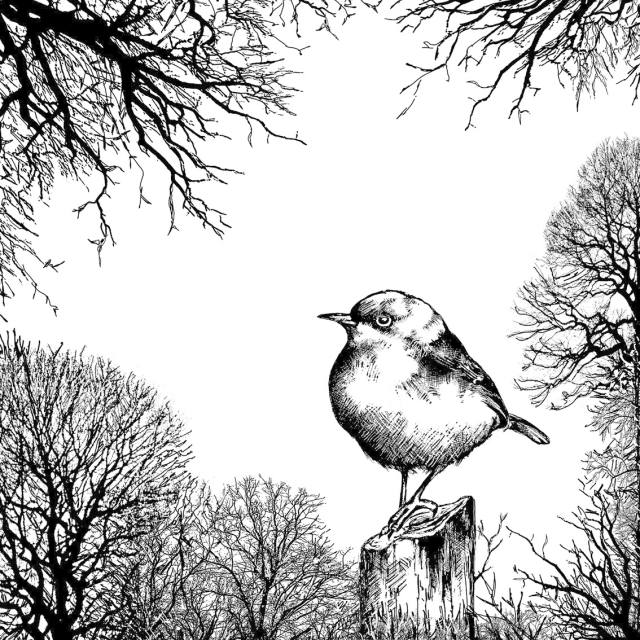 Crafty Individuals Unmounted Rubber Stamps Dawn Serenity