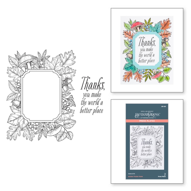 Spellbinder Autumn Press Thanks Frame Press Plate