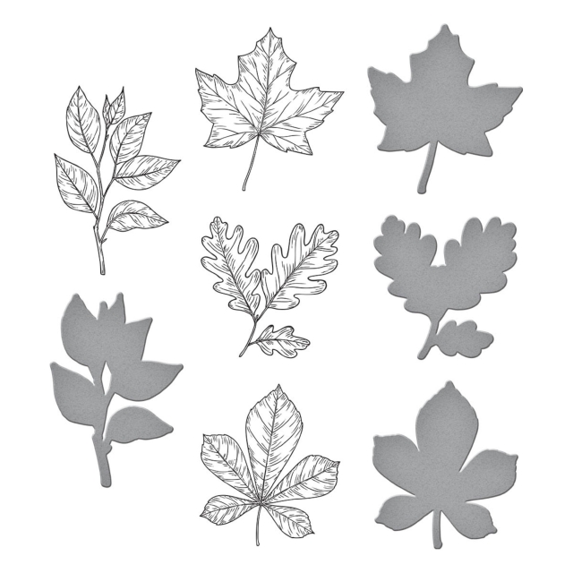 Spellbinder Autumn Leaves Press Plate & Die Set