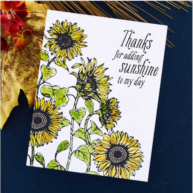 Spellbinders Sunflower Field Press Plate
