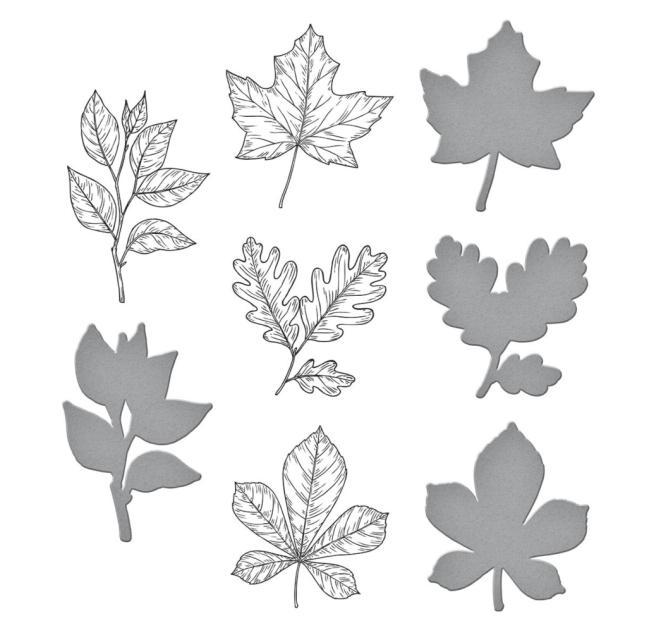 Spellbinders Press Plate & Die Set Autumn Leaves