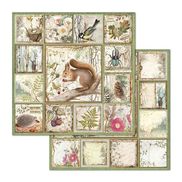 Stamperia 12 x 12 inch Paper Sheets / Papiere Framed Squirrel