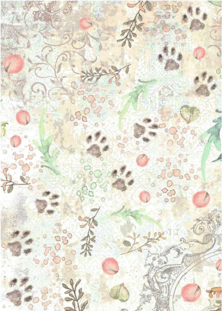 Stamperia A6 Rice Paper Reispapier Set Backgrounds Orchids and Cats