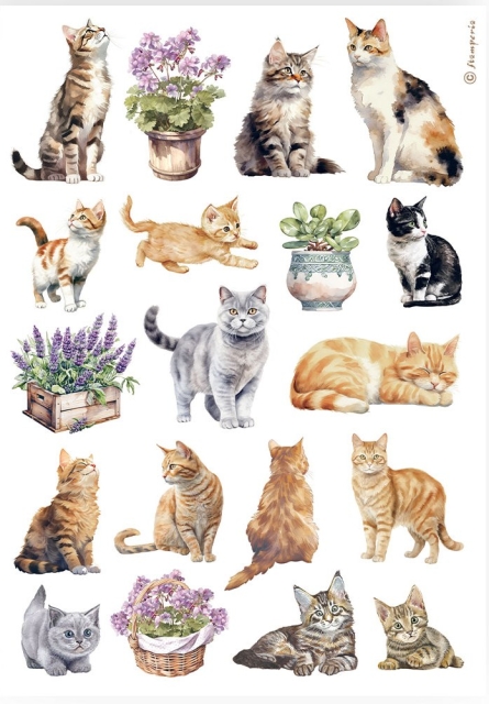Stamperia A4 Reispapier Rice Paper Cats