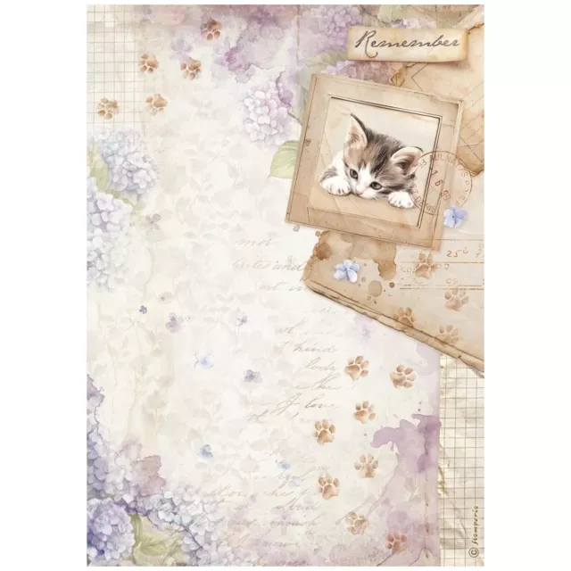 Stamperia A4 Reispapier Rice Paper Quiet Days Kitten