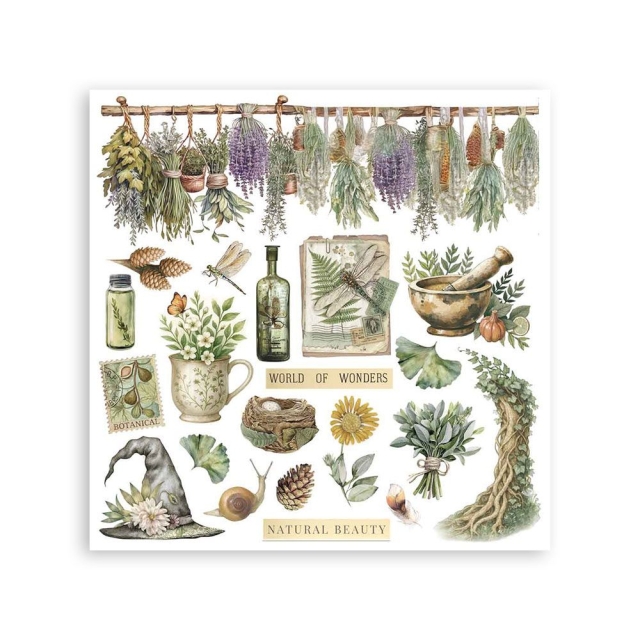 Stamperia Rub-On 10,16 x 21,6 cm Assortment Herbarium Silvae