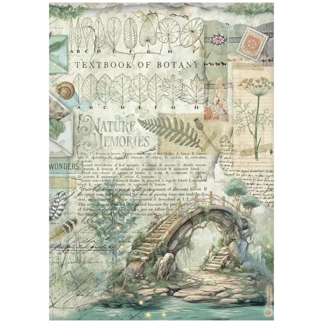 Stamperia A4 Rice Paper Reispapier Herbarium Silvae Bridge