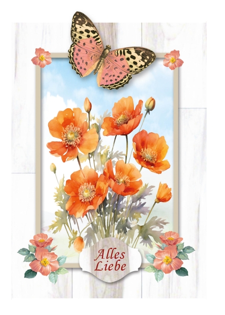 Reddy Cards Karten mit Wildblumen transparent, Set mit 12 Karten