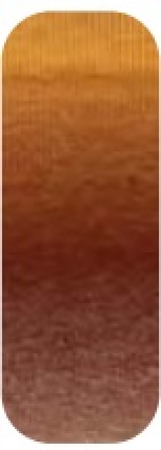 Schachenmayr Winterwonder Color 200 Gramm Farbe Honey Color