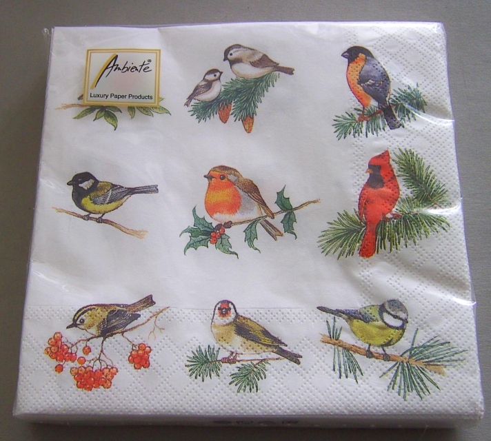 Ambiente Lunch Serviette Bird Square White