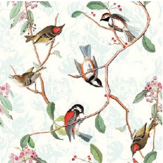Ambiente Cocktail Serviette 25 x 25 cm pro Stück Birdsong