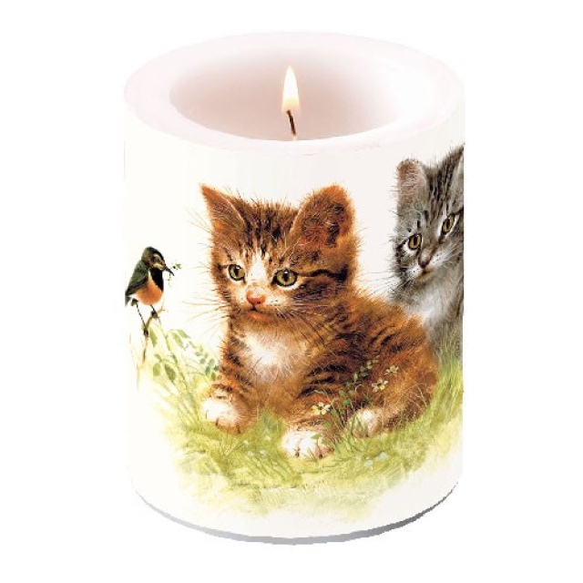 Ambiente 12 x 10 cm Kerze Kitten Friend