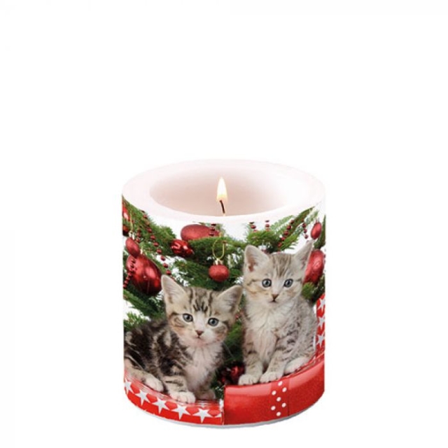 Ambiente 8 x 7 cm Kerze Small Christmas Kitten