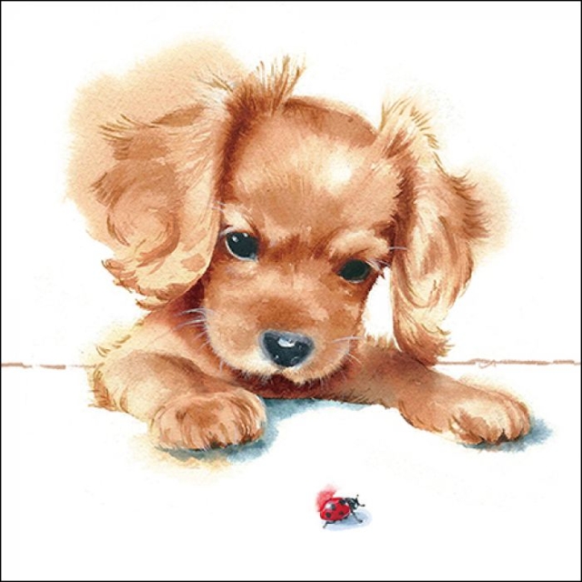 Ambiente Lunch Serviette 33 x 33 cm pro Stück Puppy and Ladybird