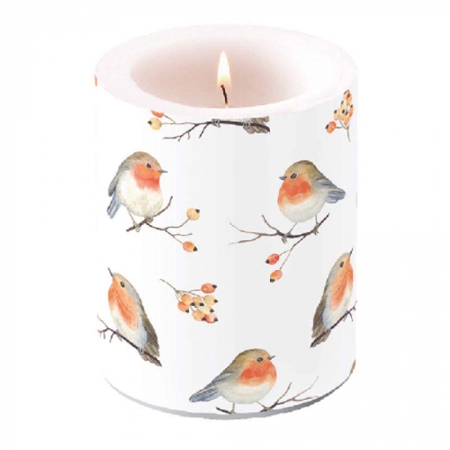 Ambiente Kerze BIG 12 x 10 cm Robin Family