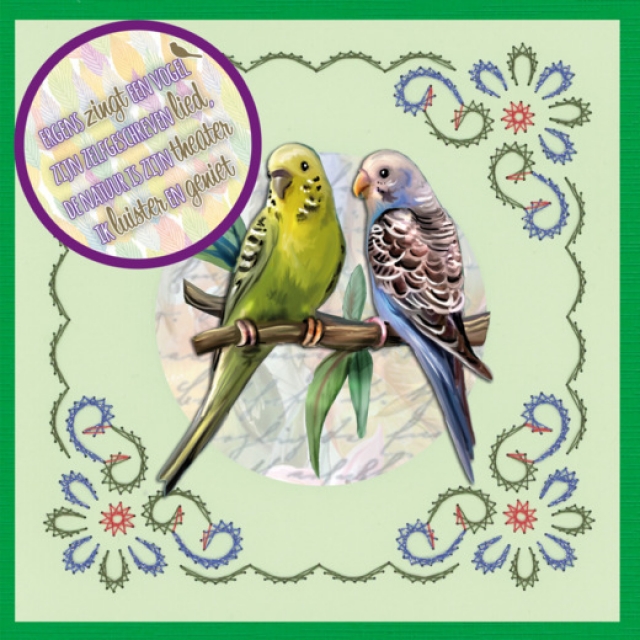 Amy Design Stitch and Do on Colour Colourful Feathers