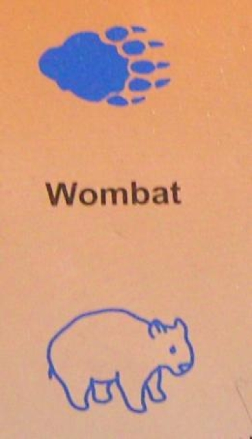 Doppelseitiger Stempel Wombat