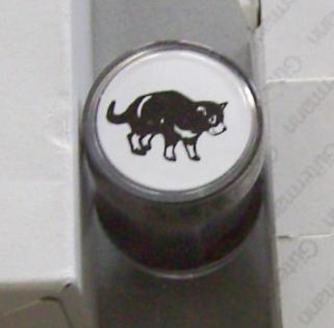 Doppelseitiger Stempel Tasmanischer Teufel