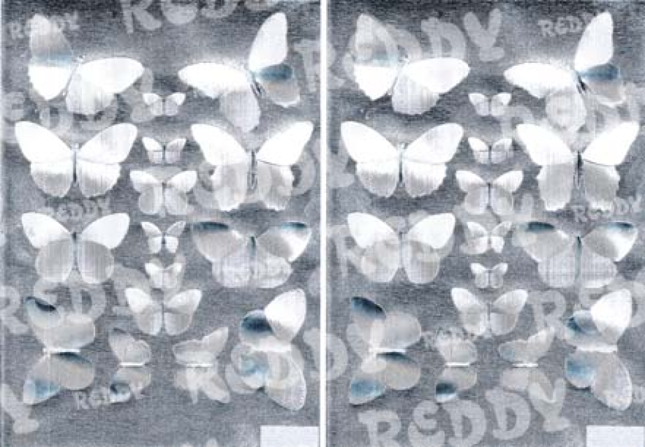 Reddy Cards Dufex 3D-Stanzbogen zum Bemalen, Schmetterlinge