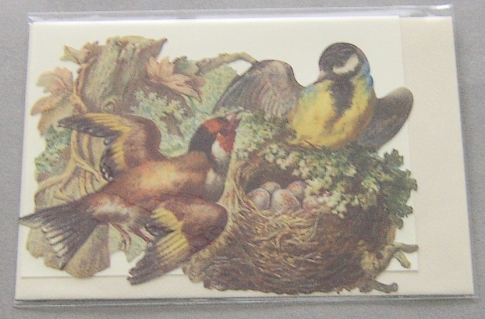 Bildkarte mit passendem Umschlag und Doppelkarte in elfenbein Motiv Vögel mit Nest