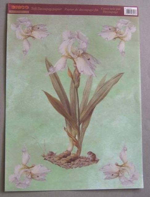 Decoupagepapier 1 Bogen 33 x 48 cm, Schwertlilie